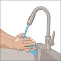 AG_Wash_Hands_A-01 600