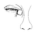 Eye%20closed+press+nose