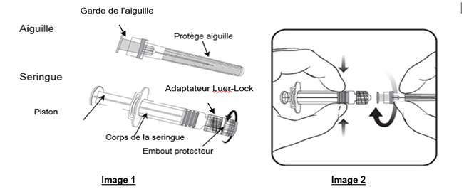 IMAGE_1