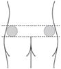 A drawing of a person's body

Description automatically generated