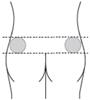 A drawing of a person's body

Description automatically generated