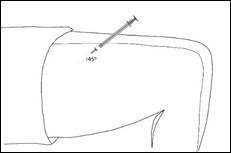 Une image contenant croquis, dessin, Dessin au trait, Dessin d’enfant

Description générée automatiquement