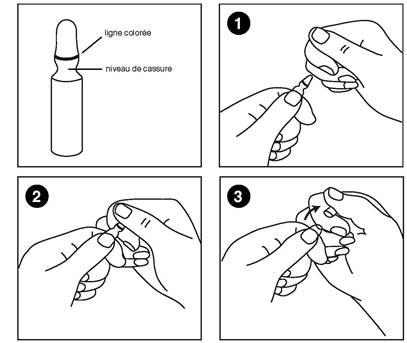 Schémas Etiléfrine  1